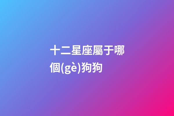 十二星座屬于哪個(gè)狗狗-第1張-星座運(yùn)勢-玄機(jī)派
