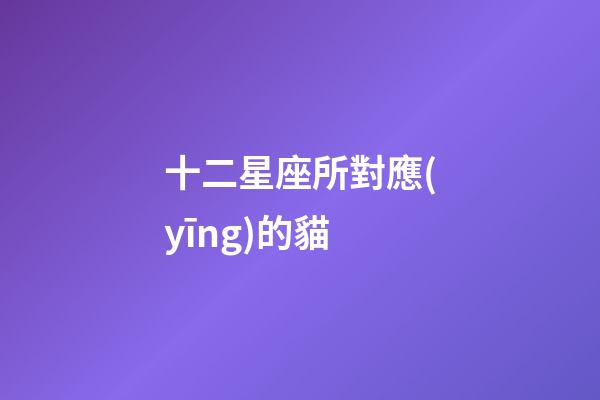 十二星座所對應(yīng)的貓-第1張-星座運(yùn)勢-玄機(jī)派