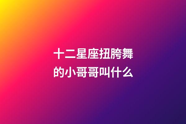 十二星座扭胯舞的小哥哥叫什么