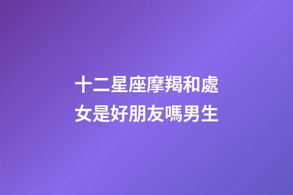 十二星座摩羯和處女是好朋友嗎男生-第1張-星座運勢-玄機派