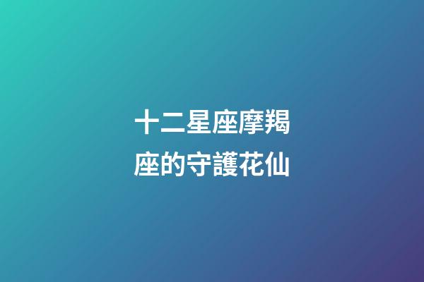 十二星座摩羯座的守護花仙-第1張-星座運勢-玄機派