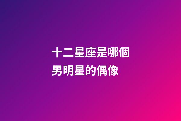 十二星座是哪個男明星的偶像-第1張-星座運勢-玄機派