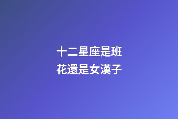 十二星座是班花還是女漢子-第1張-星座運勢-玄機派