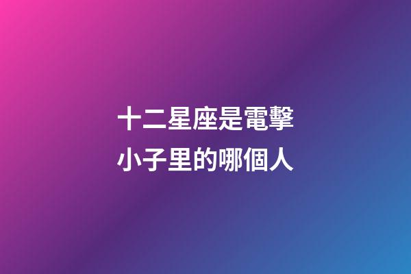 十二星座是電擊小子里的哪個人-第1張-星座運勢-玄機派