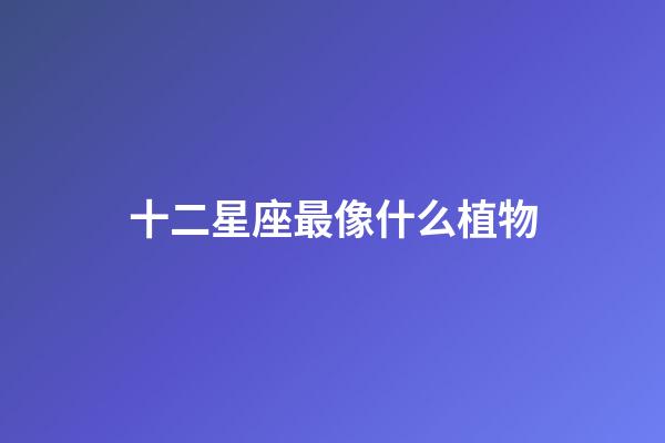 十二星座最像什么植物-第1張-星座運(yùn)勢(shì)-玄機(jī)派