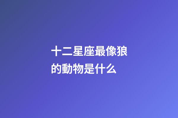 十二星座最像狼的動物是什么-第1張-星座運勢-玄機派