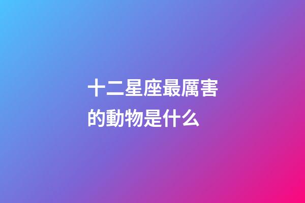 十二星座最厲害的動物是什么-第1張-星座運勢-玄機派