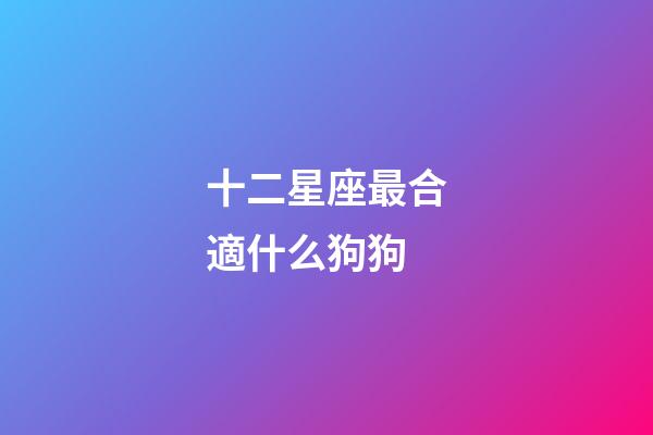 十二星座最合適什么狗狗-第1張-星座運勢-玄機派