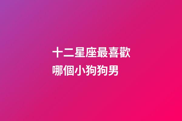 十二星座最喜歡哪個小狗狗男-第1張-星座運勢-玄機派