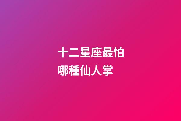 十二星座最怕哪種仙人掌-第1張-星座運勢-玄機派
