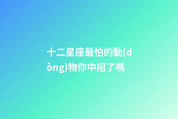 十二星座最怕的動(dòng)物你中招了嗎-第1張-星座運(yùn)勢(shì)-玄機(jī)派