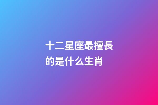 十二星座最擅長的是什么生肖-第1張-星座運勢-玄機派