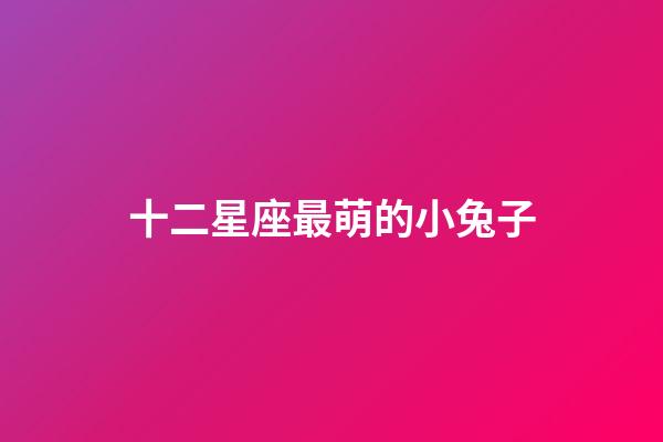 十二星座最萌的小兔子-第1張-星座運勢-玄機派