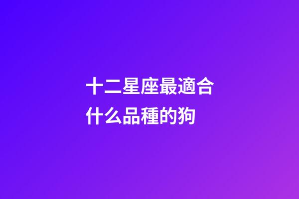 十二星座最適合什么品種的狗-第1張-星座運勢-玄機派