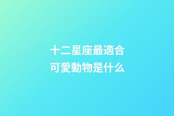 十二星座最適合可愛動物是什么-第1張-星座運勢-玄機派