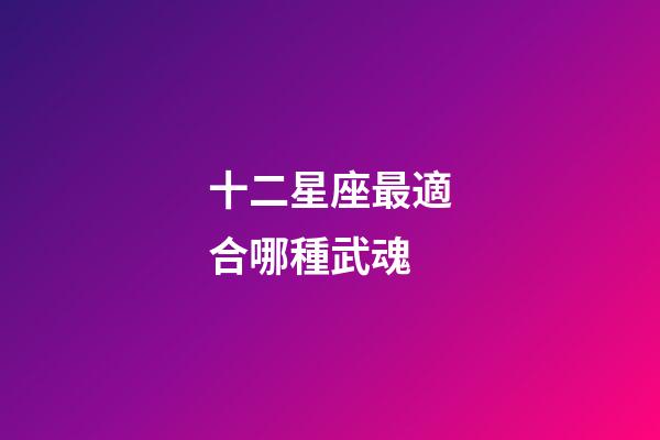 十二星座最適合哪種武魂-第1張-星座運勢-玄機派