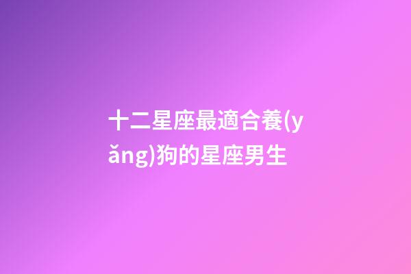 十二星座最適合養(yǎng)狗的星座男生