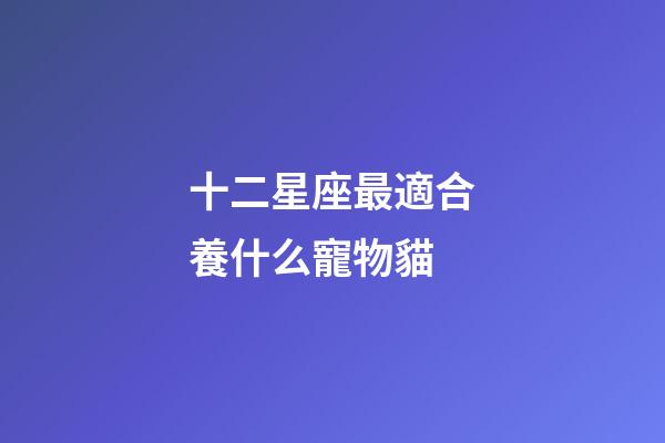 十二星座最適合養什么寵物貓-第1張-星座運勢-玄機派