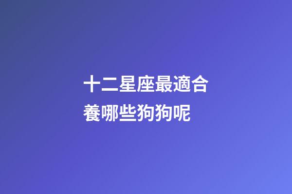 十二星座最適合養哪些狗狗呢-第1張-星座運勢-玄機派