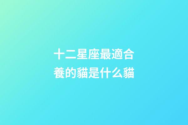 十二星座最適合養的貓是什么貓-第1張-星座運勢-玄機派