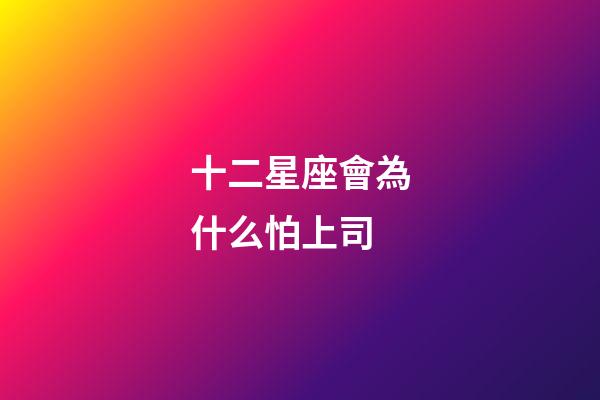 十二星座會為什么怕上司-第1張-星座運勢-玄機派