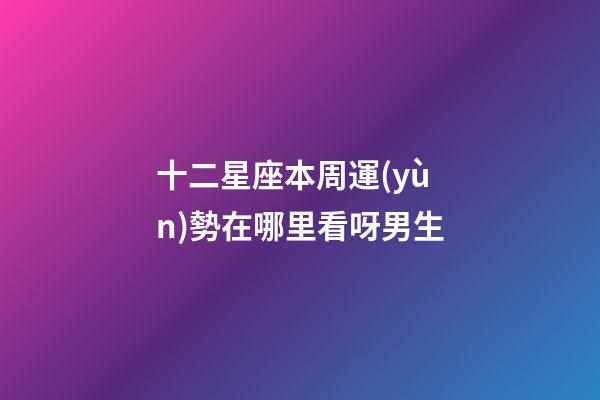 十二星座本周運(yùn)勢在哪里看呀男生-第1張-星座運(yùn)勢-玄機(jī)派