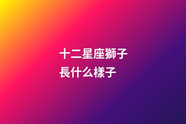 十二星座獅子長什么樣子-第1張-星座運勢-玄機派