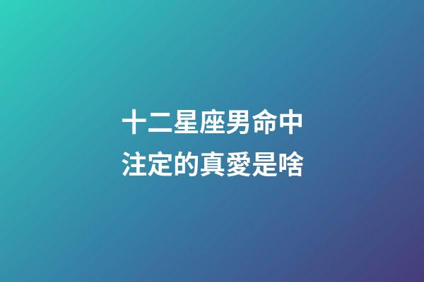 十二星座男命中注定的真愛是啥-第1張-星座運勢-玄機派