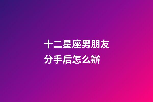 十二星座男朋友分手后怎么辦-第1張-星座運勢-玄機派