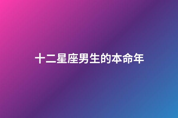 十二星座男生的本命年-第1張-星座運(yùn)勢(shì)-玄機(jī)派