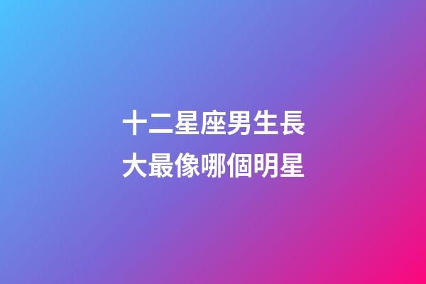 十二星座男生長大最像哪個明星-第1張-星座運勢-玄機派
