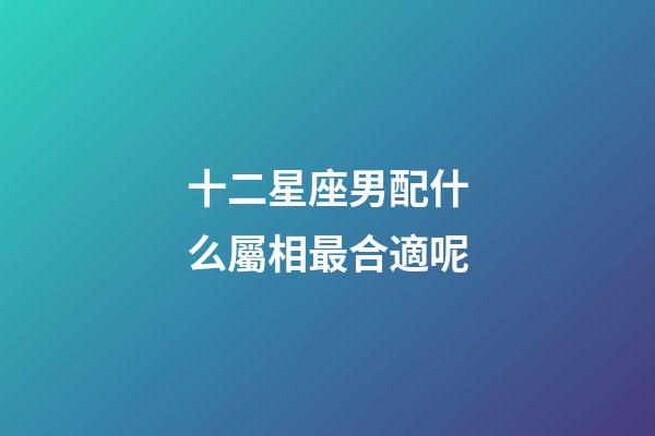 十二星座男配什么屬相最合適呢-第1張-星座運(yùn)勢-玄機(jī)派