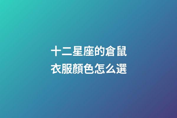 十二星座的倉鼠衣服顏色怎么選-第1張-星座運勢-玄機派