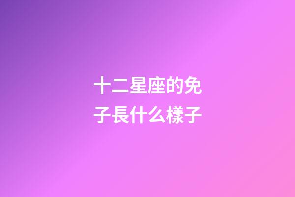 十二星座的免子長什么樣子-第1張-星座運(yùn)勢-玄機(jī)派