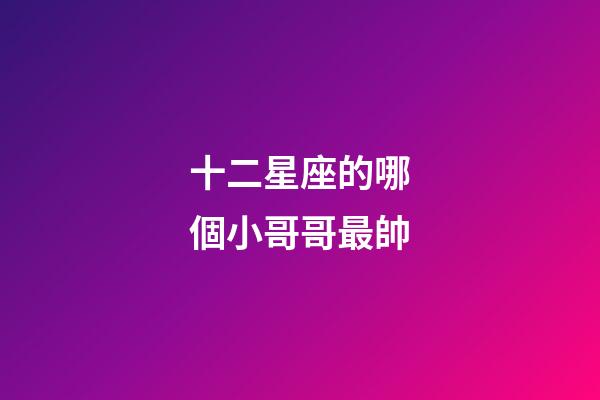 十二星座的哪個小哥哥最帥-第1張-星座運勢-玄機派