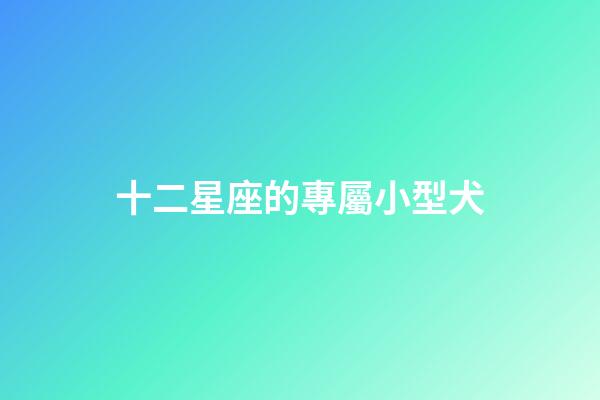 十二星座的專屬小型犬-第1張-星座運勢-玄機派