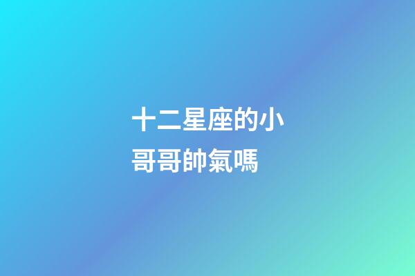 十二星座的小哥哥帥氣嗎-第1張-星座運勢-玄機派