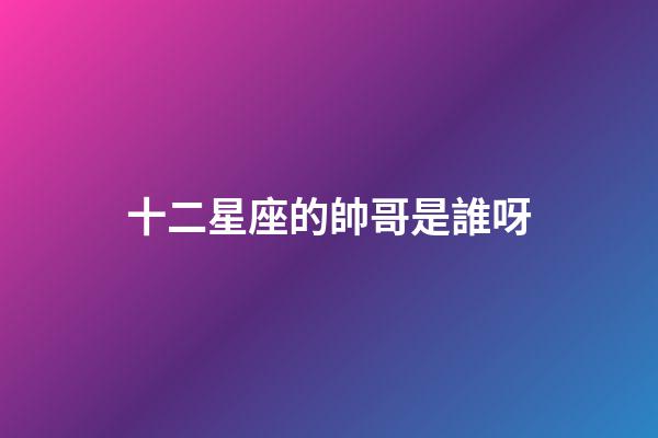 十二星座的帥哥是誰呀-第1張-星座運勢-玄機派