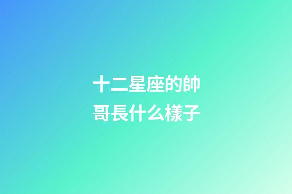 十二星座的帥哥長什么樣子-第1張-星座運勢-玄機派