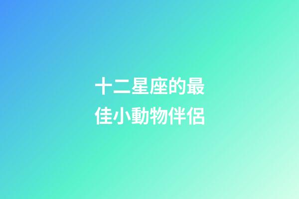 十二星座的最佳小動物伴侶-第1張-星座運勢-玄機派