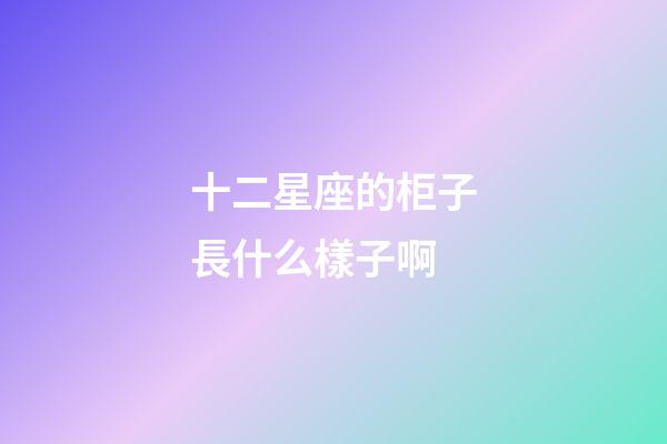 十二星座的柜子長什么樣子啊-第1張-星座運勢-玄機派