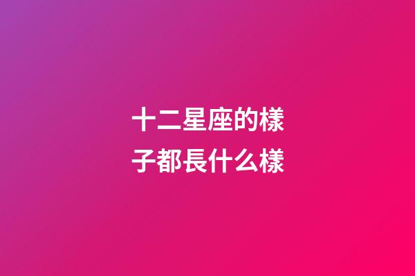 十二星座的樣子都長什么樣-第1張-星座運勢-玄機派