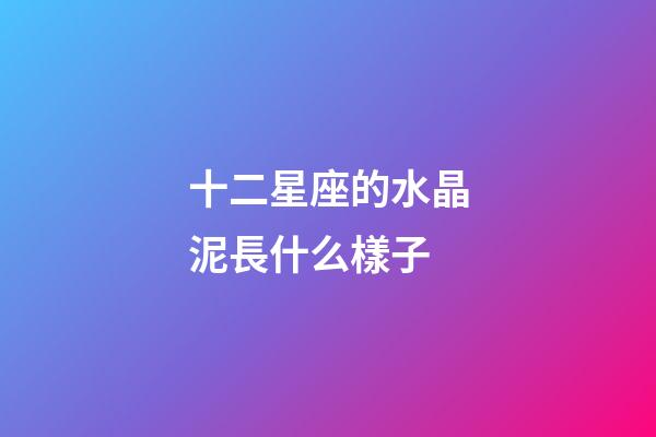 十二星座的水晶泥長什么樣子-第1張-星座運勢-玄機派