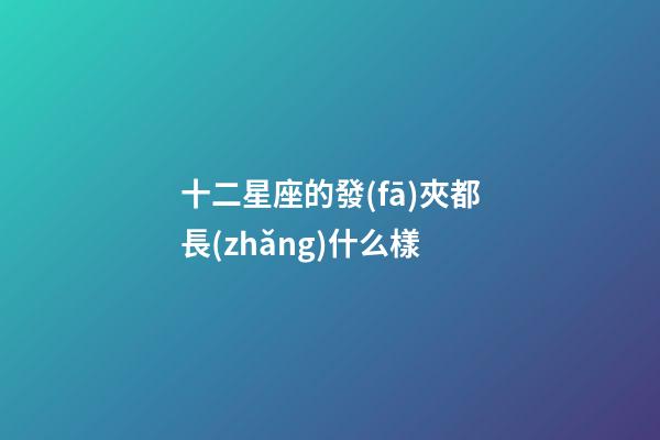 十二星座的發(fā)夾都長(zhǎng)什么樣