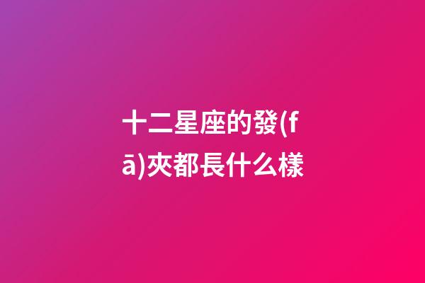 十二星座的發(fā)夾都長什么樣