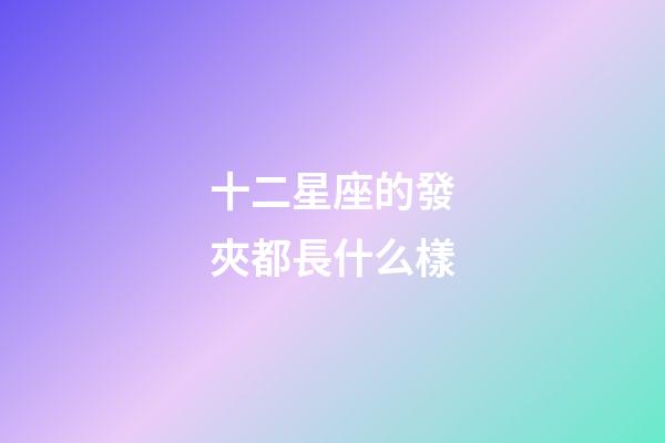 十二星座的發夾都長什么樣