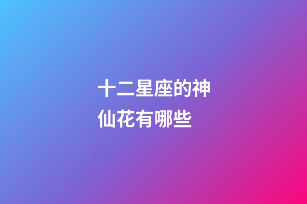 十二星座的神仙花有哪些-第1張-星座運勢-玄機派