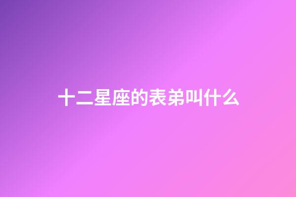 十二星座的表弟叫什么-第1張-星座運勢-玄機派