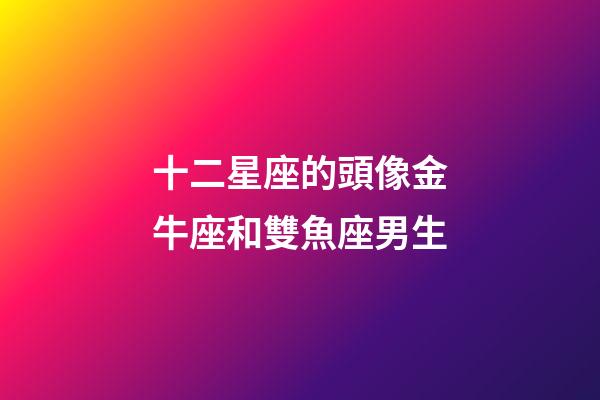 十二星座的頭像金牛座和雙魚座男生-第1張-星座運勢-玄機派
