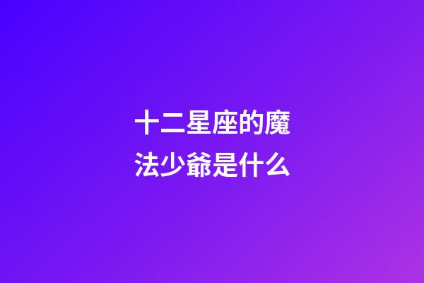 十二星座的魔法少爺是什么